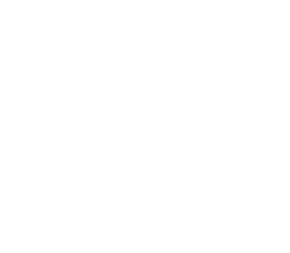 logo%20white.png