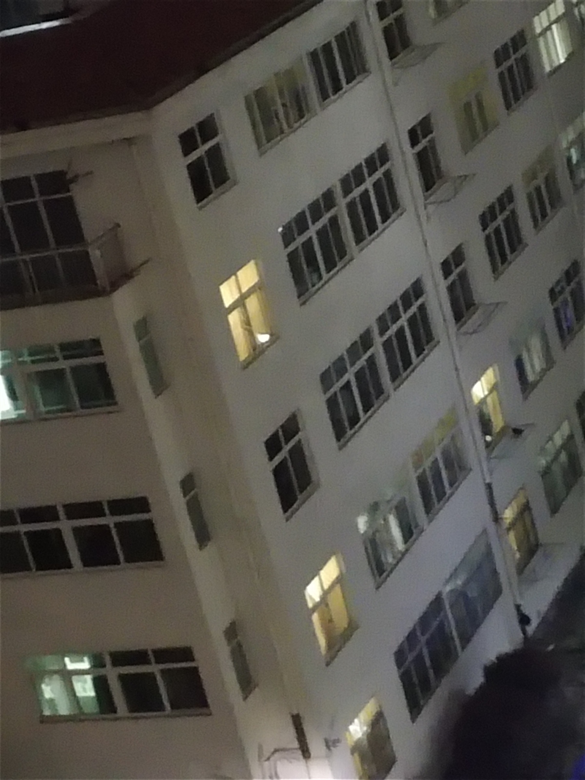 Roomie在右上角! 20250404_2.jpg