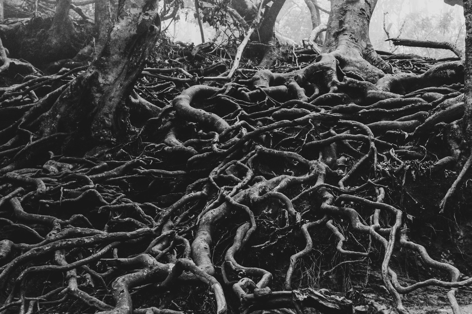 一处“哭坟”现象发生地点