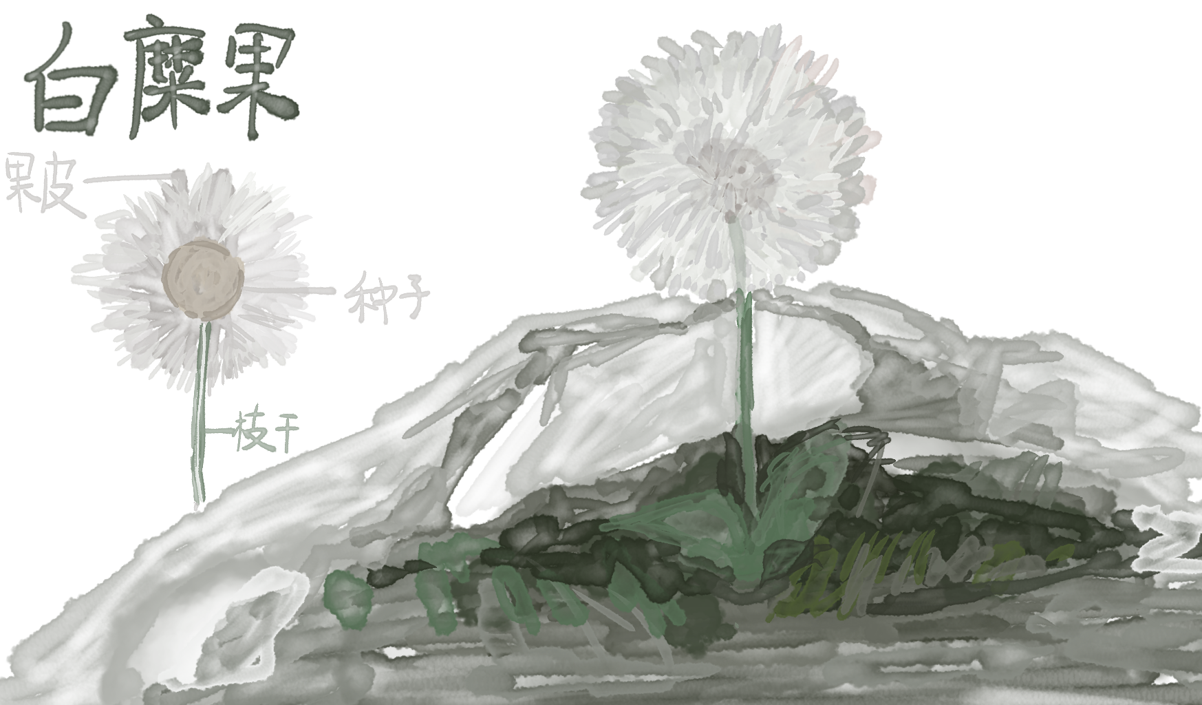 %E7%99%BD%E7%B3%9C%E6%9E%9C