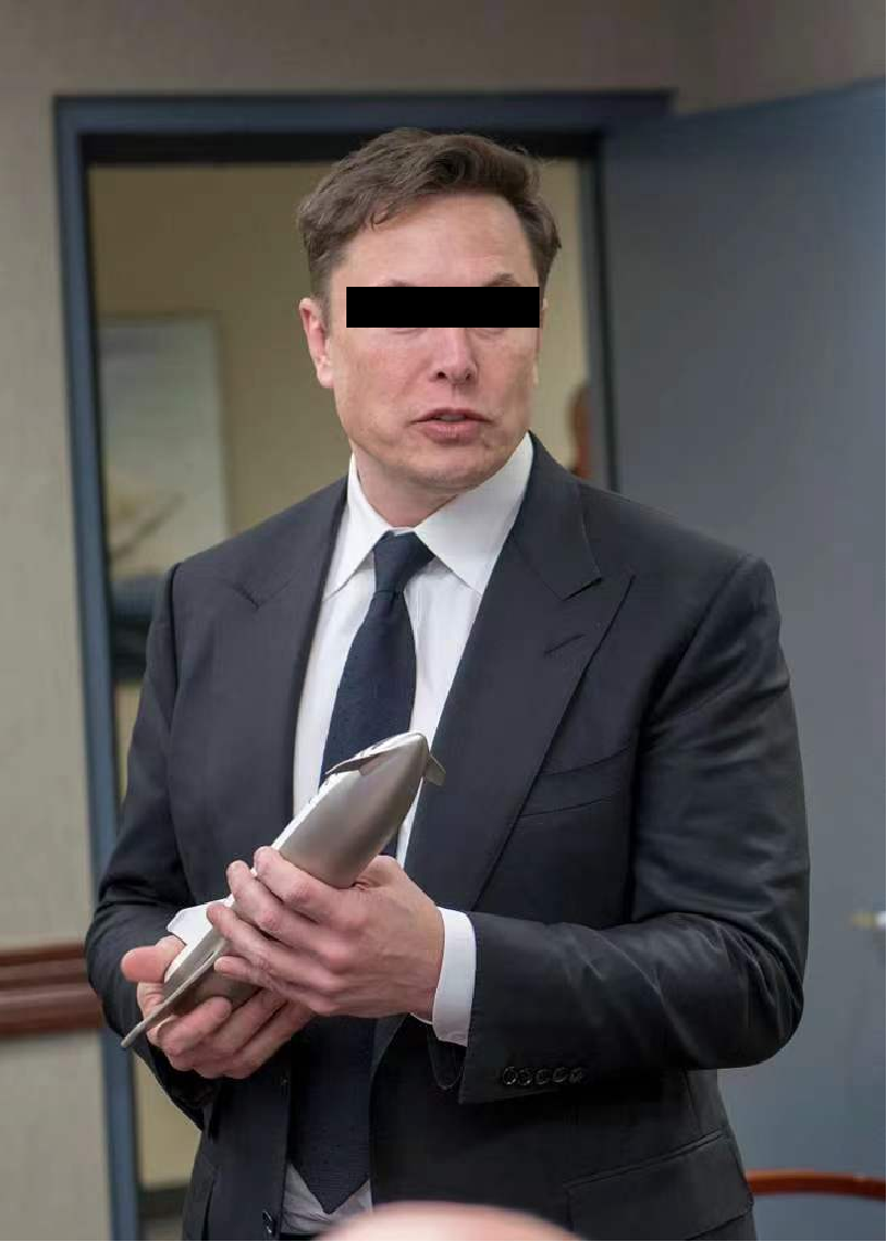 ElonMuskMasked.png