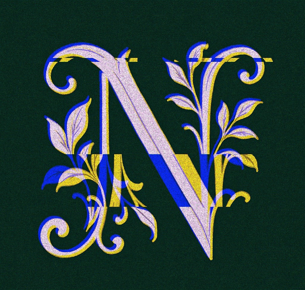 N-logo.jpg