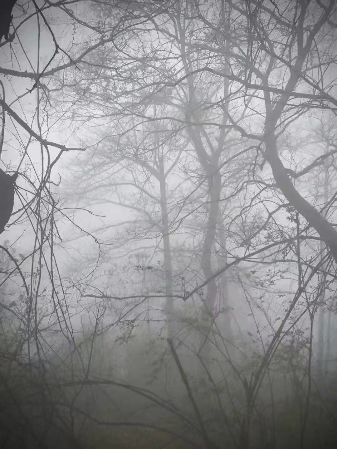 %E7%AC%AC%E4%B8%80%E6%AE%B5