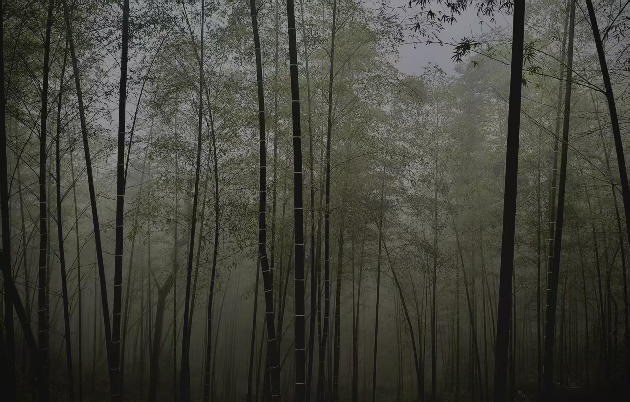 %E7%AC%AC%E4%BA%8C%E6%AE%B5