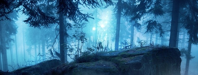 001%E6%9E%97%E5%9C%B0