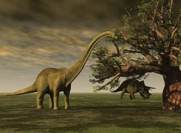 3932-%E8%85%95%E9%BE%992