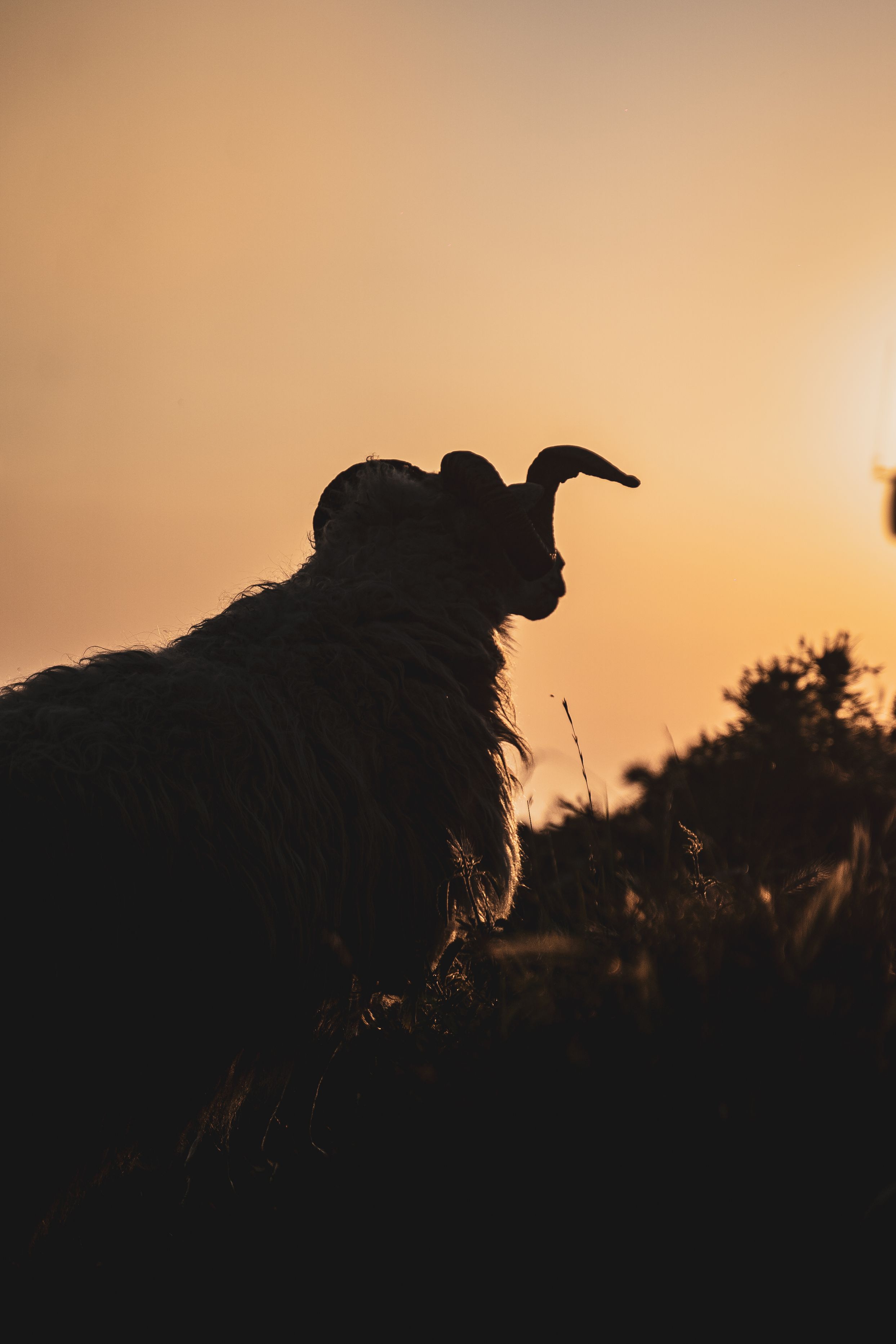 Within-the-Countable-Wind-4