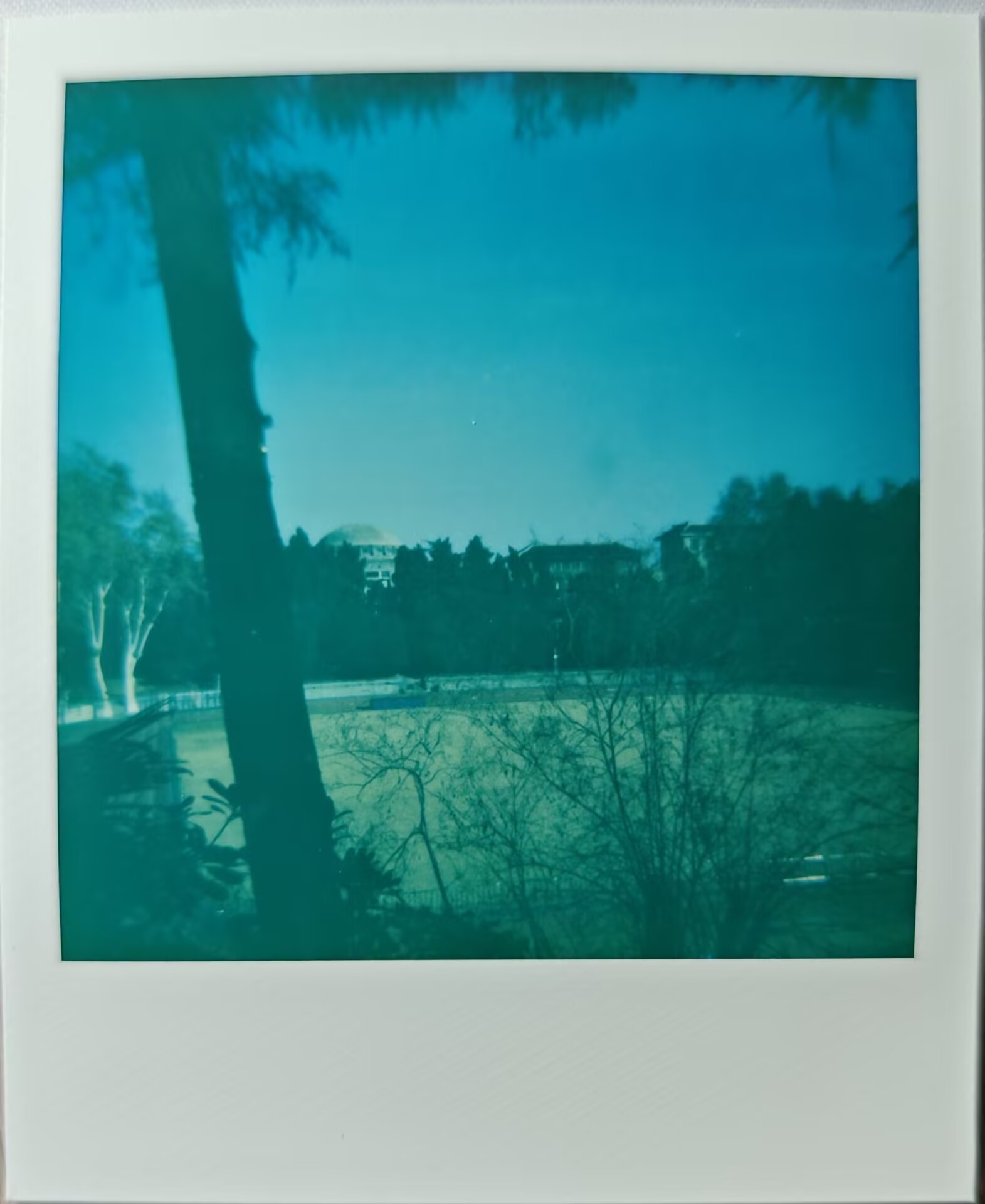 polaroid