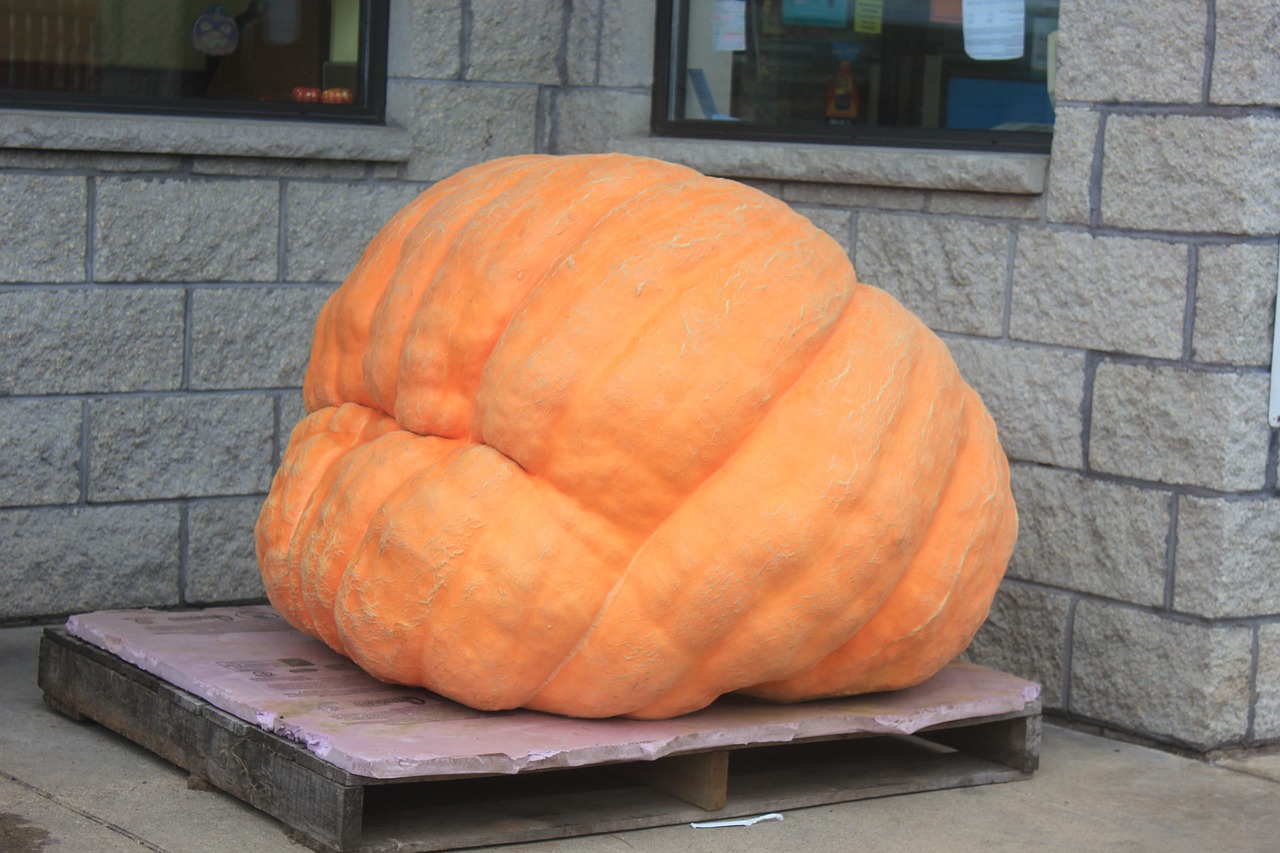 pumpkin-1720481_1280.jpg