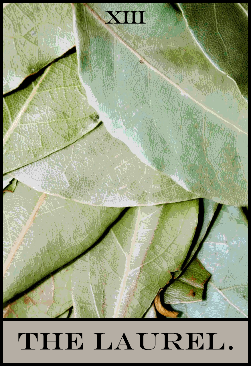 the_laurel.png