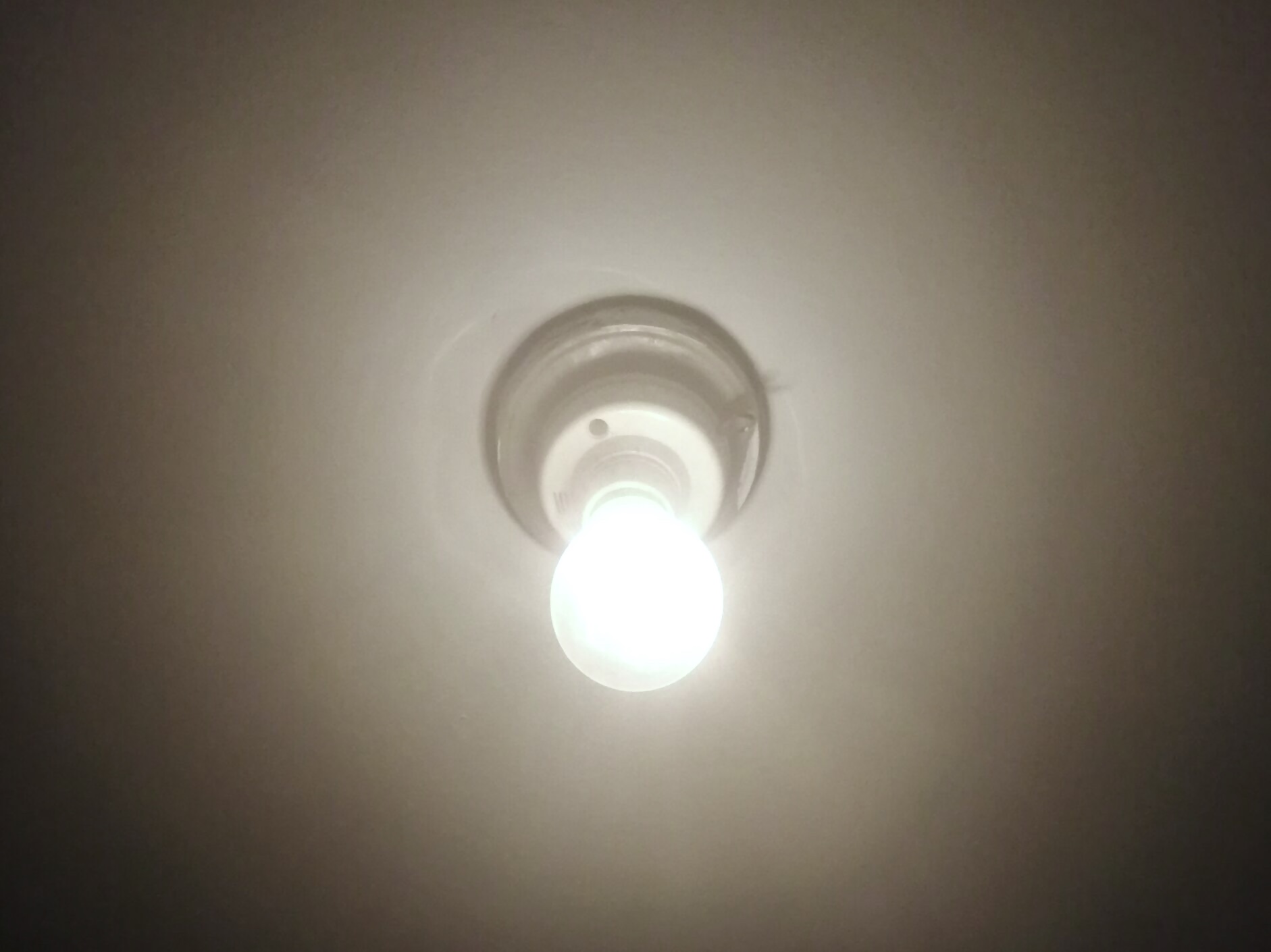lightbulb1