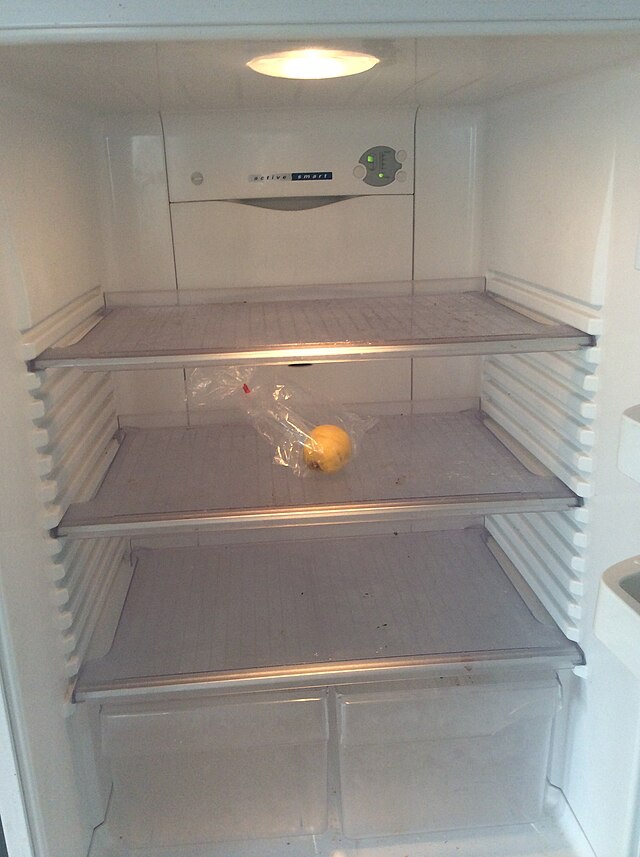 Empty_fridge.jpg