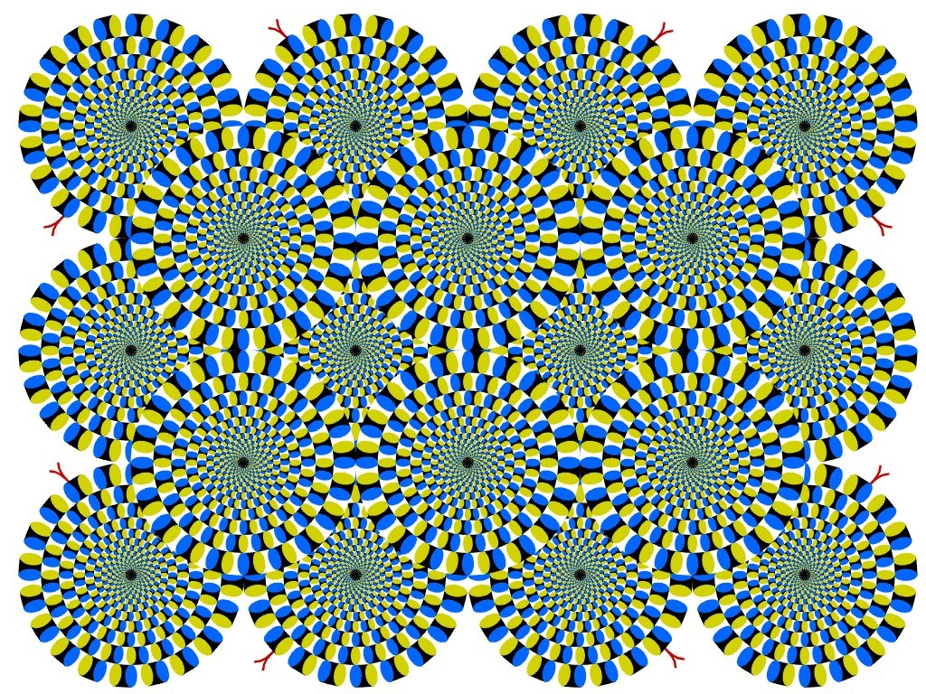 Optical_Illusion_%2867183712%29.jpg
