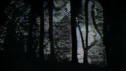 Forest%20Silhouette%201%20CROPPED.jpg