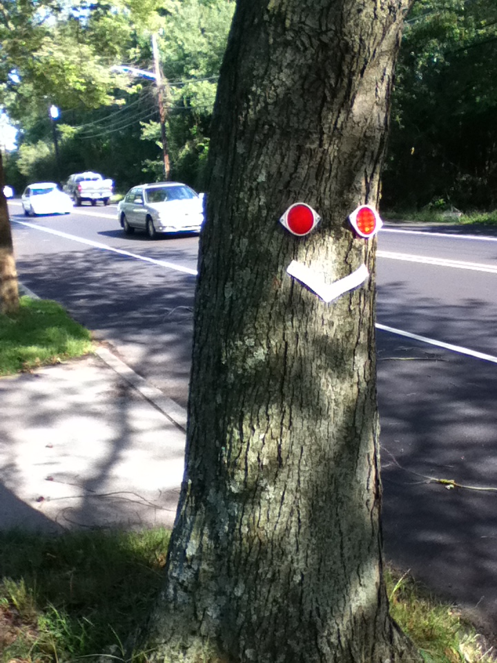 tree-face.JPG