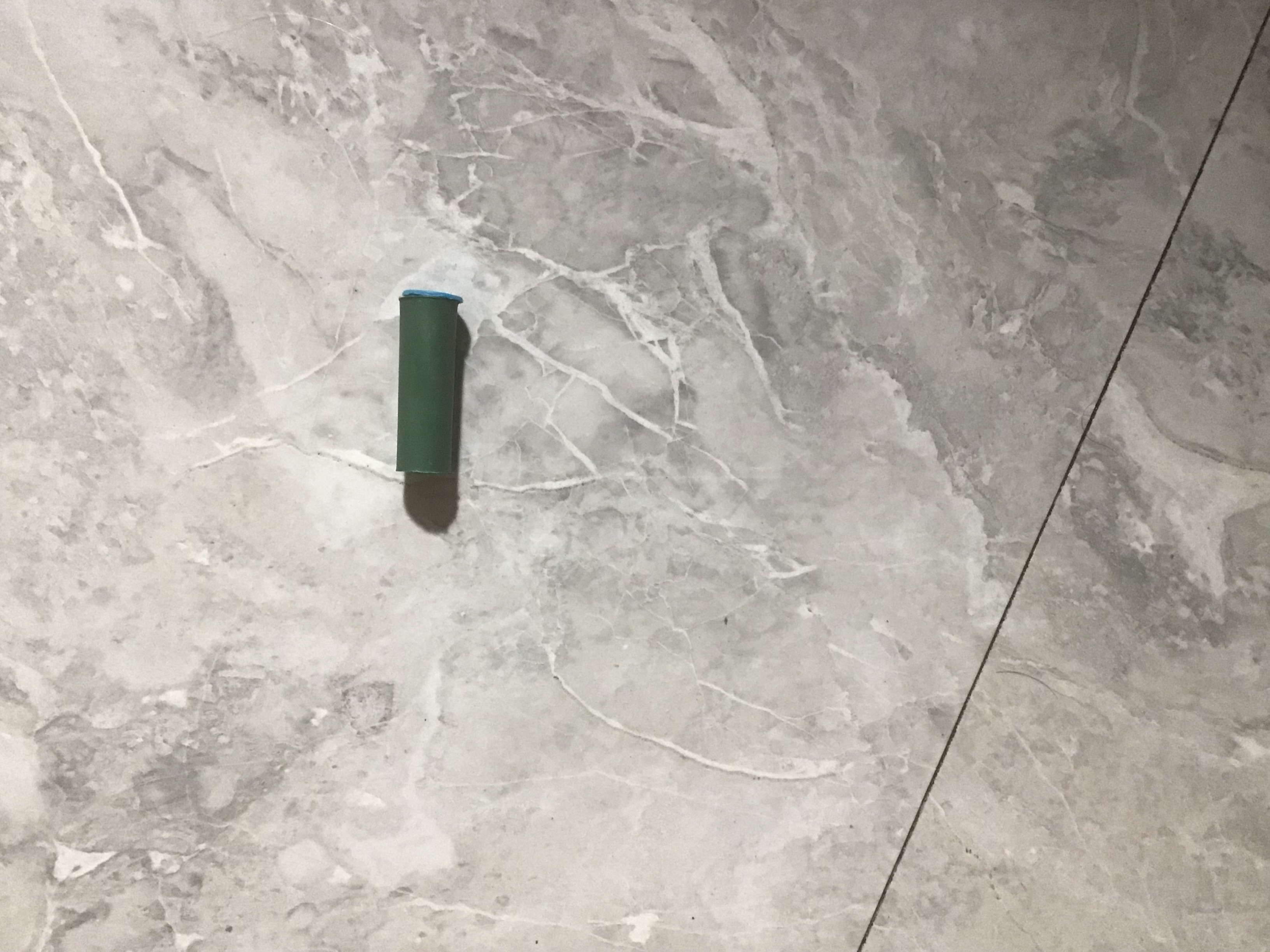 cockroach-powder-and-cockroach